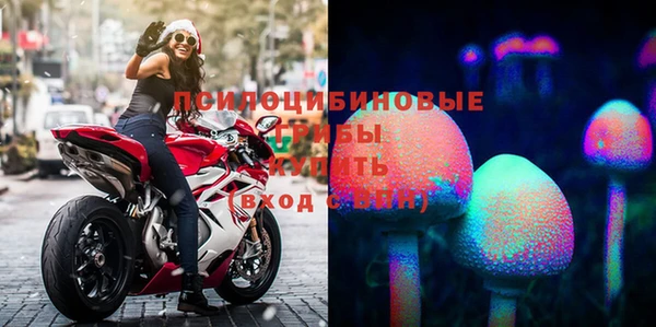 МДПВ Балахна