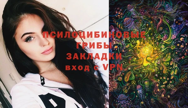 Альфа ПВП Балабаново